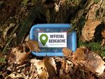 Eine Box im Wald versteckt zwischen Laubblättern mit der Aufschrift Official Geocache