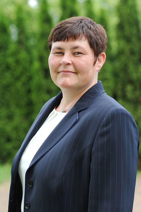 Foto "Steinreicher Harz"