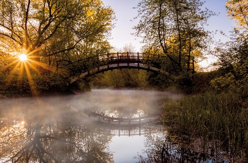 Ein See im Nebel mit Blick auf eine Brücke
